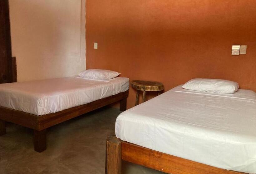 住宿加早餐  Punta Mar