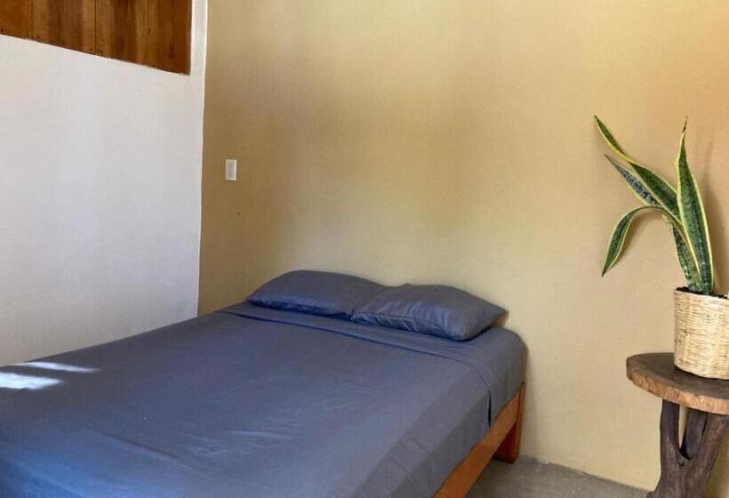 住宿加早餐  Punta Mar