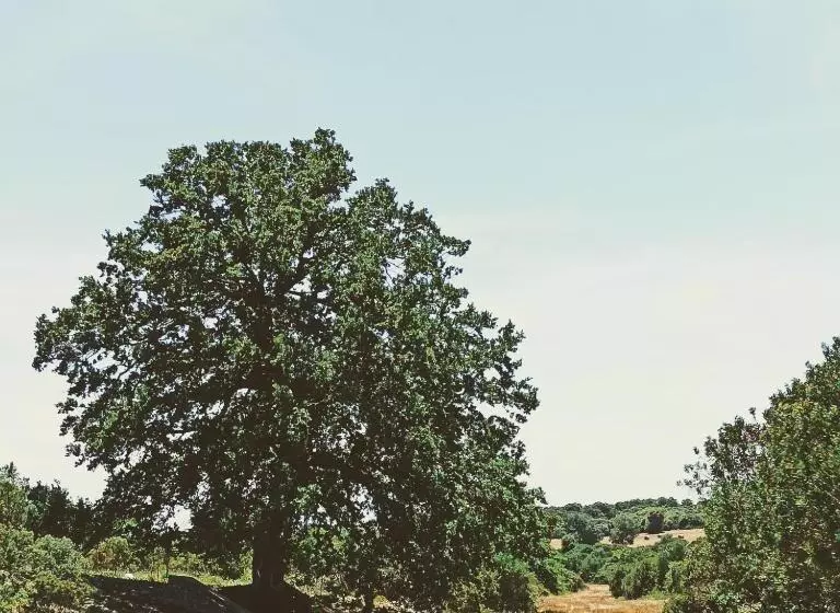 ホテル Masseria Lojazzo