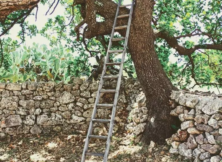 ホテル Masseria Lojazzo