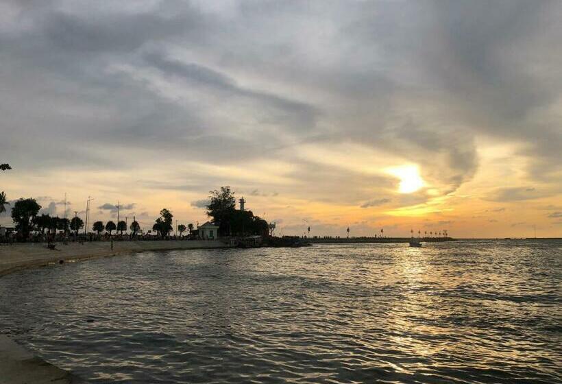 Hotel Như Mây Homestay