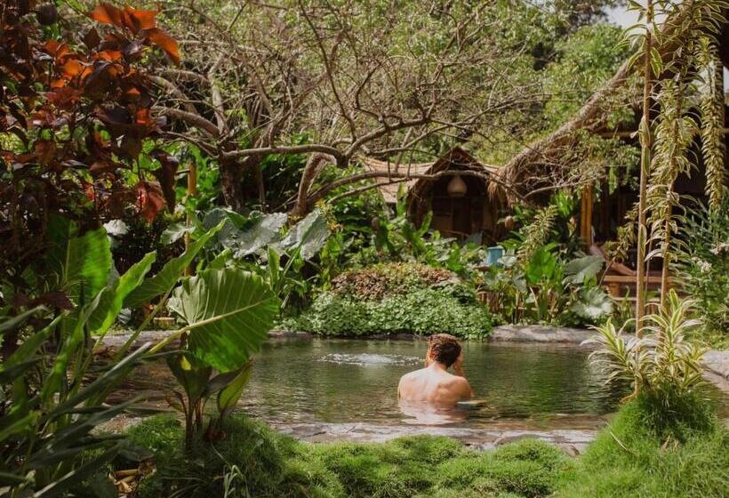 هتل Yay Sustainable