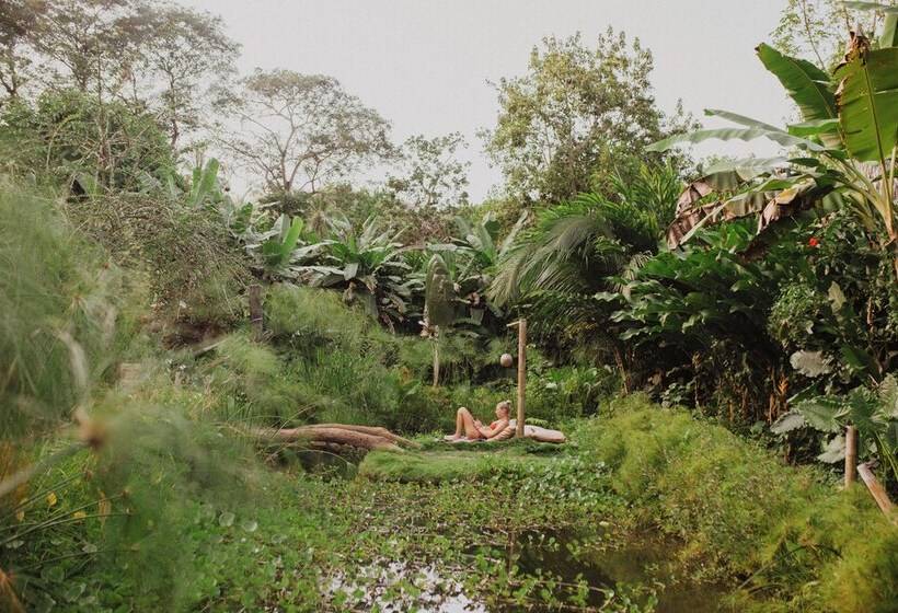 هتل Yay Sustainable