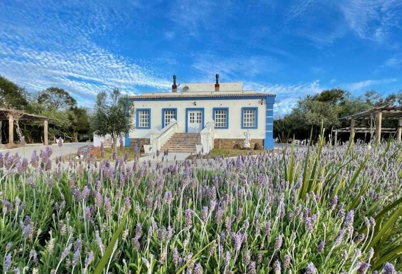 بنسيون Pousada Olival Vila Do Segredo