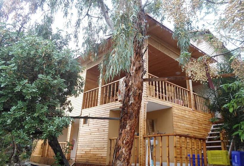 تختخواب و صبحانه Karabi̇bi̇k Bungalow