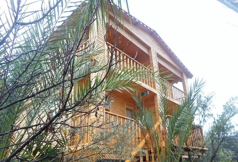 تختخواب و صبحانه Karabi̇bi̇k Bungalow