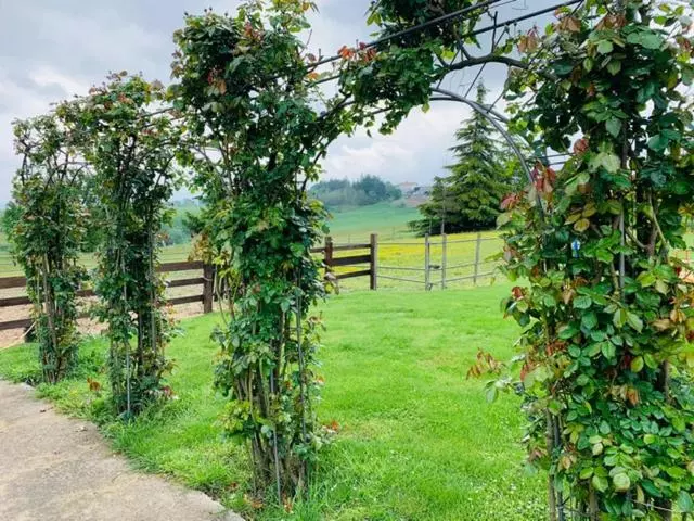 هتل Agriturismo Cascina Smeralda