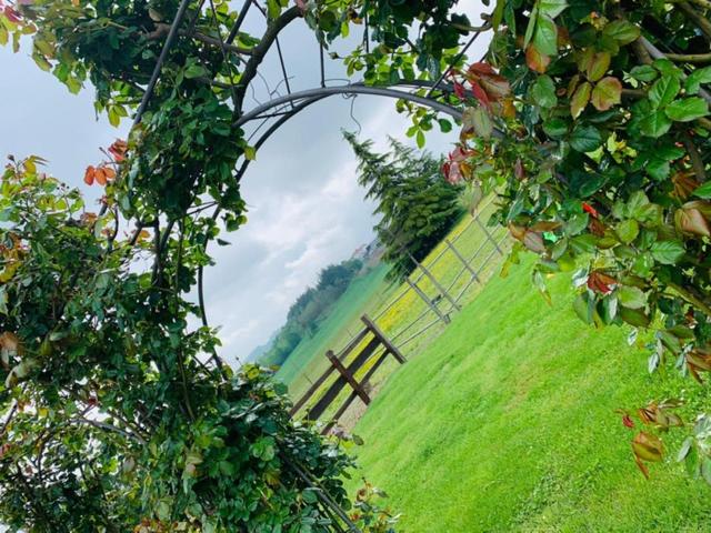 Отель Agriturismo Cascina Smeralda