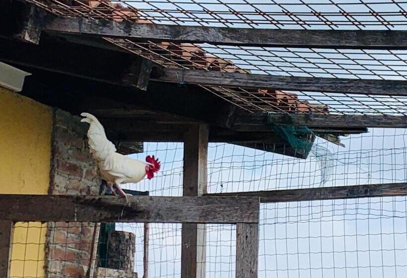 Отель Agriturismo Cascina Smeralda