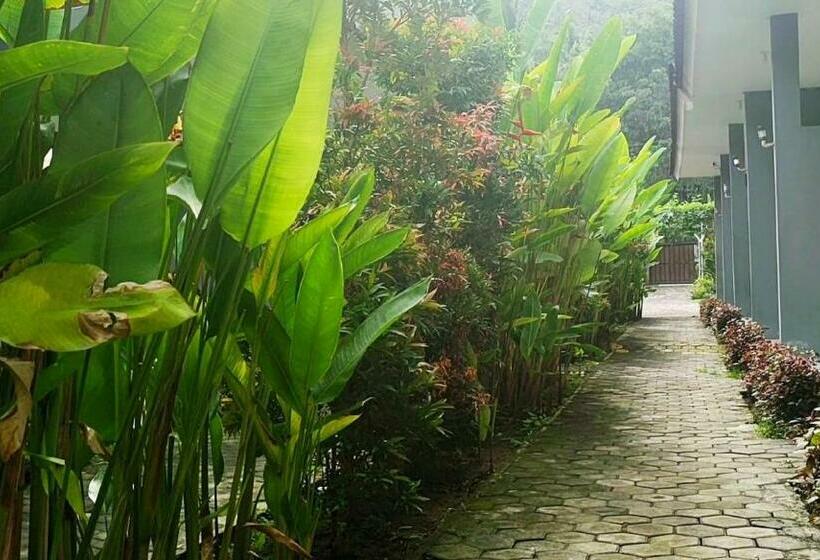 Szálloda Oyo 2864 Mangsit Garden Homestay