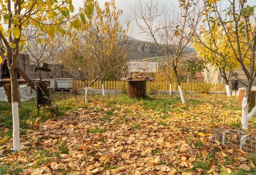 پانسیون Guest House Leader