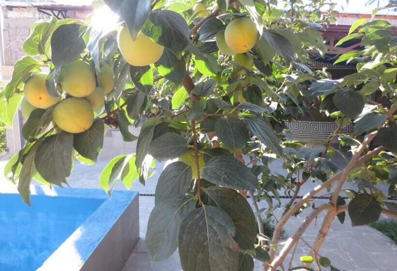 پانسیون Guest House Leader