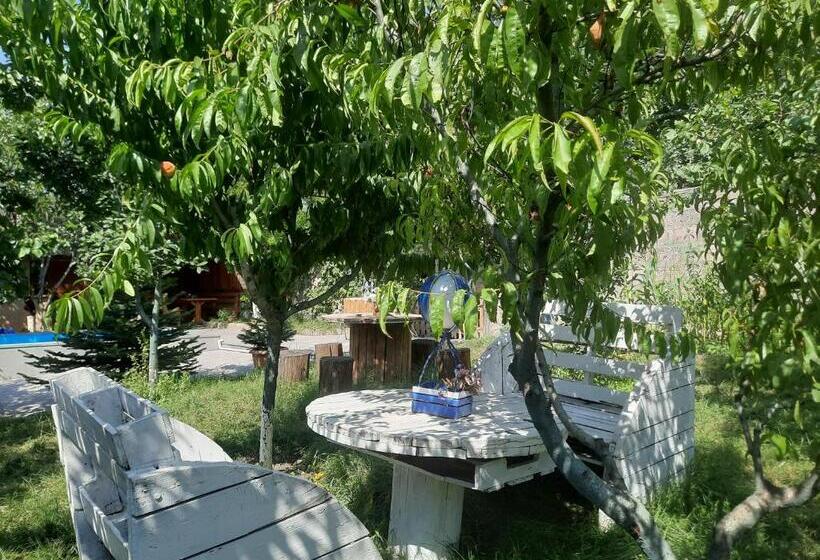 پانسیون Guest House Leader