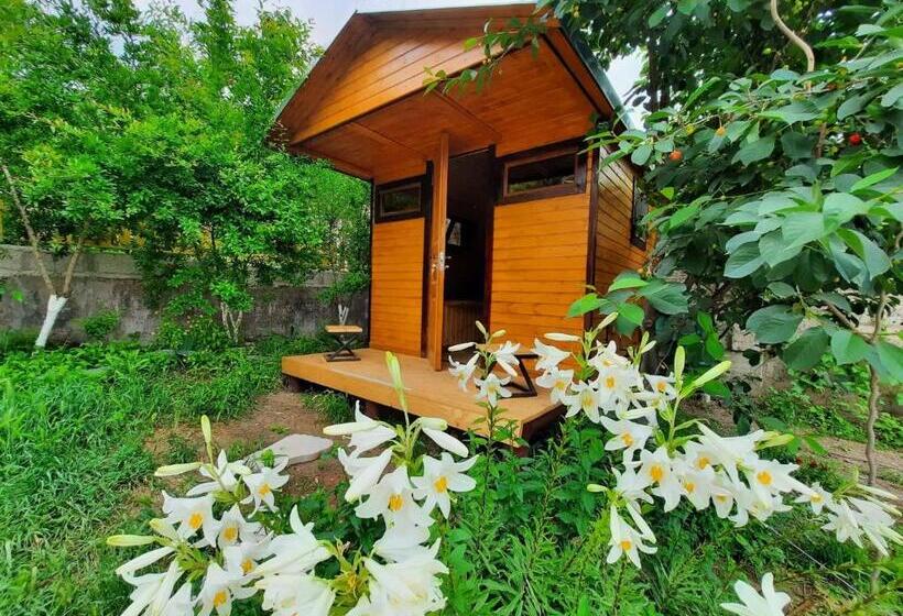 پانسیون Guest House Leader