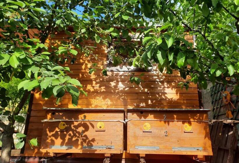 پانسیون Guest House Leader