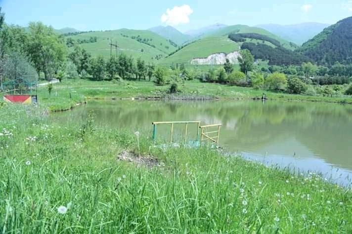 Pensão Tezh Ler у тани