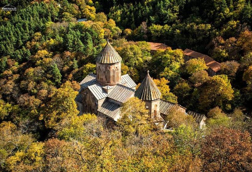 پانسیون Tomas Kokhi