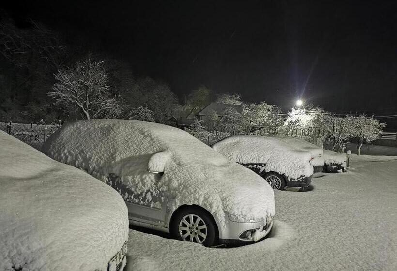 بنسيون Mateo Transalpina