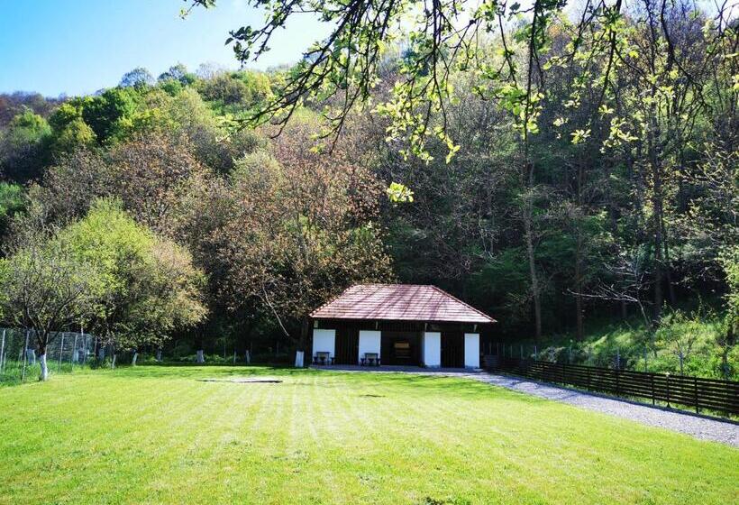 بنسيون Mateo Transalpina