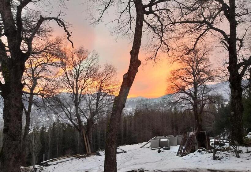 Resort Lonquimay Lodge