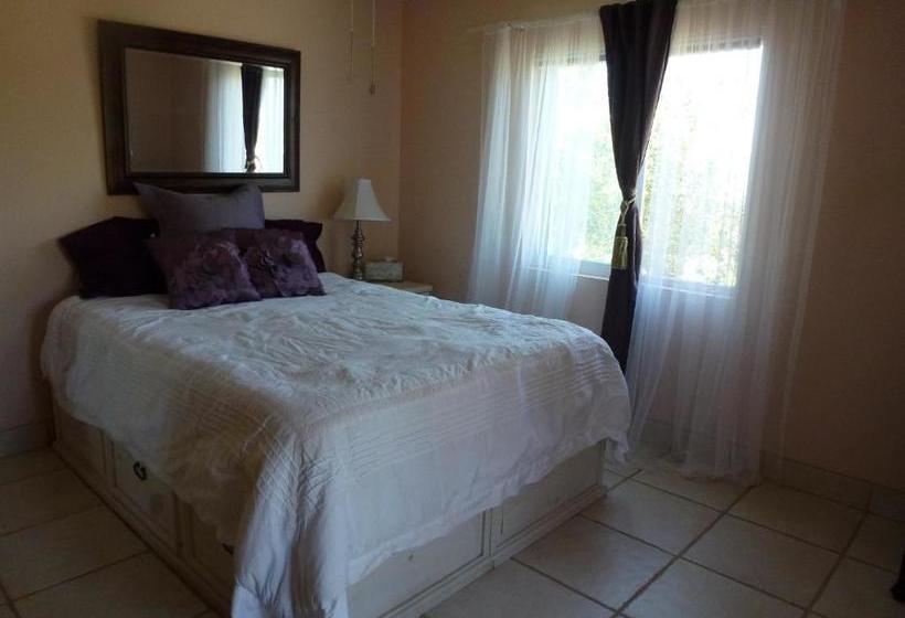 הוסטל Clos Benoit, A Vineyard Inn