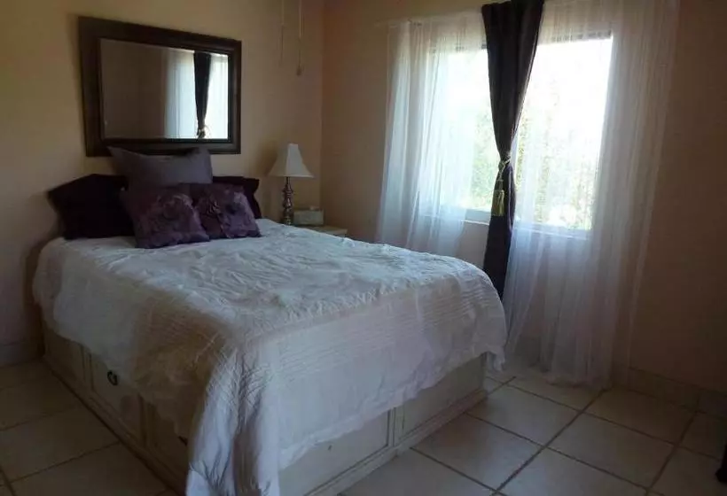 ユースホステル Clos Benoit, A Vineyard Inn