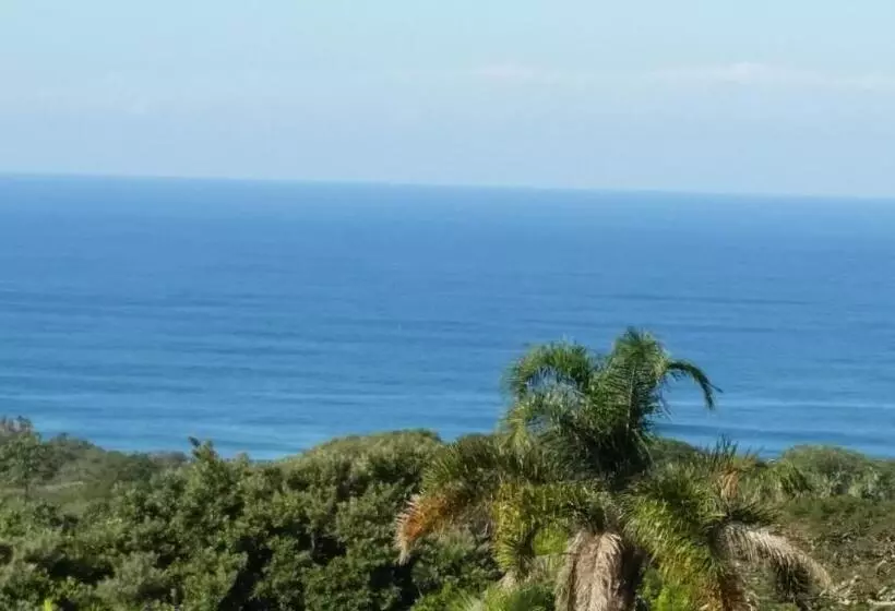 Aamiaismajoitus (B&B) Fig Tree Manor Self Catering