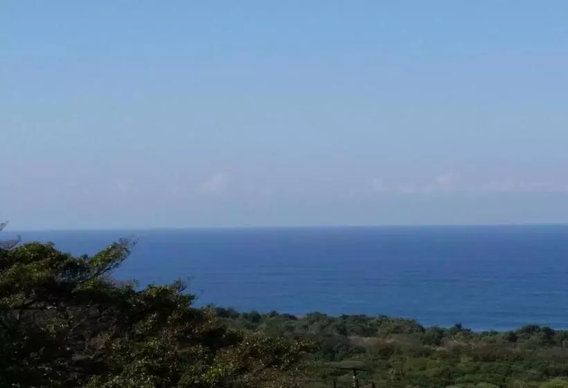 Aamiaismajoitus (B&B) Fig Tree Manor Self Catering