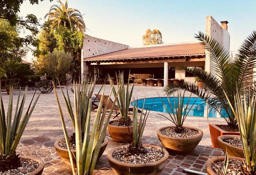 مبيت وإفطار María & Bernardo Casa   Viñedo