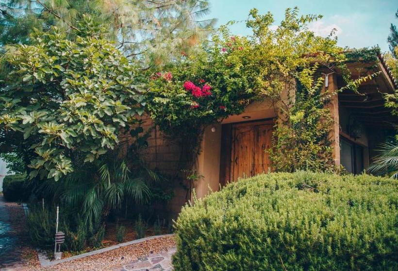 مبيت وإفطار María & Bernardo Casa   Viñedo