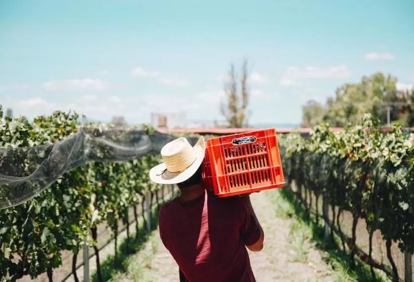 ベッドアンドブレックファースト María & Bernardo Casa   Viñedo