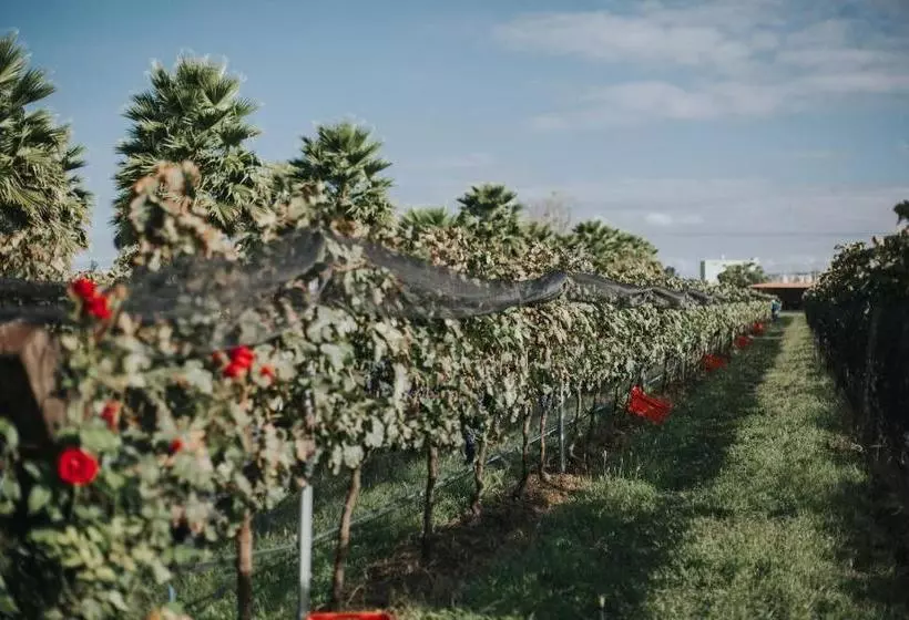 ベッドアンドブレックファースト María & Bernardo Casa   Viñedo