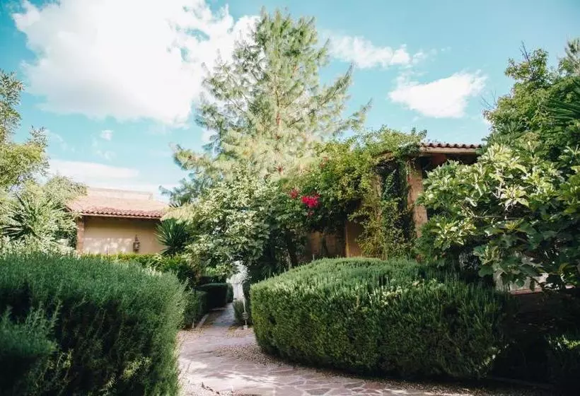 ベッドアンドブレックファースト María & Bernardo Casa   Viñedo