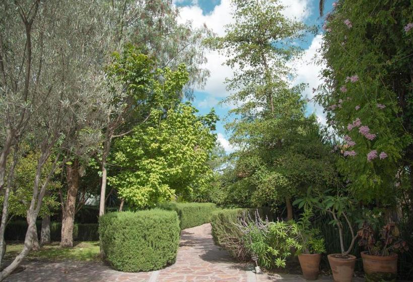 مبيت وإفطار María & Bernardo Casa   Viñedo