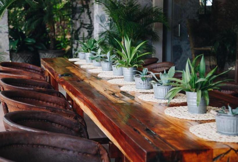 مبيت وإفطار María & Bernardo Casa   Viñedo