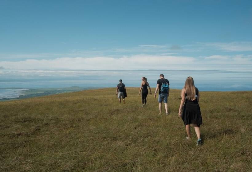 ベッドアンドブレックファースト Sligo Bay Lodge