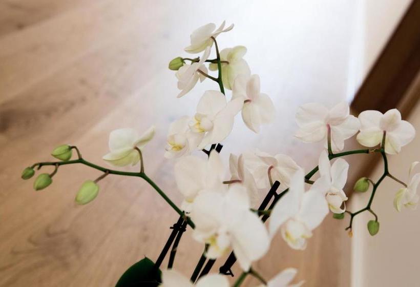 ホテル Wirtshaus Am Schloss