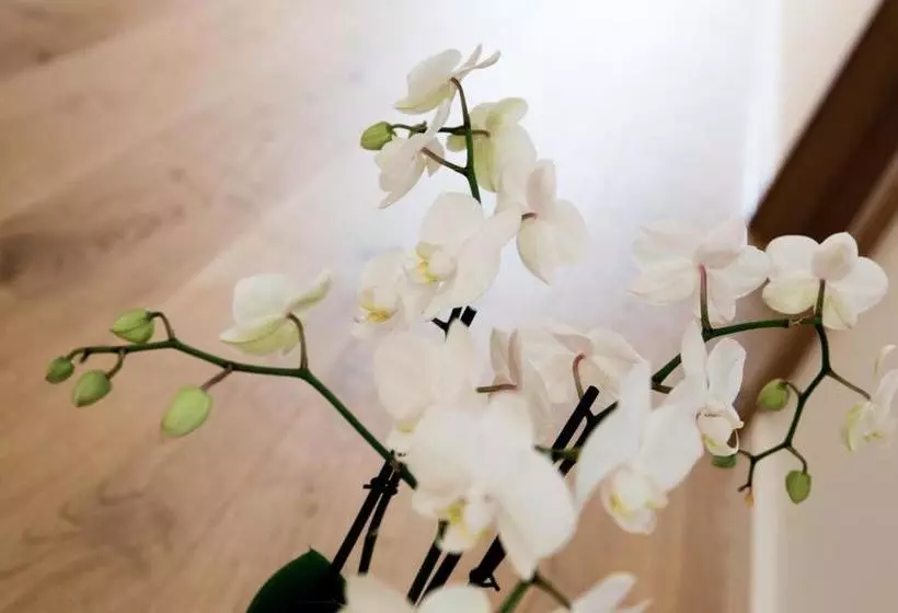 Hotelli Wirtshaus Am Schloss