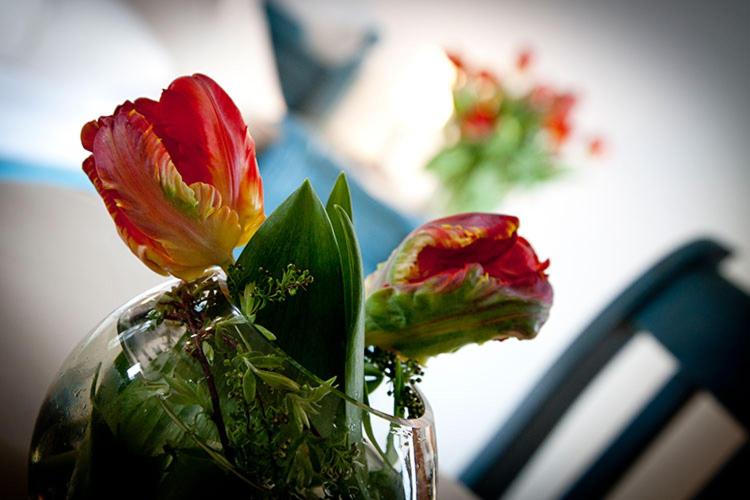 בית מלון כפרי Wirtshaus Am Schloss