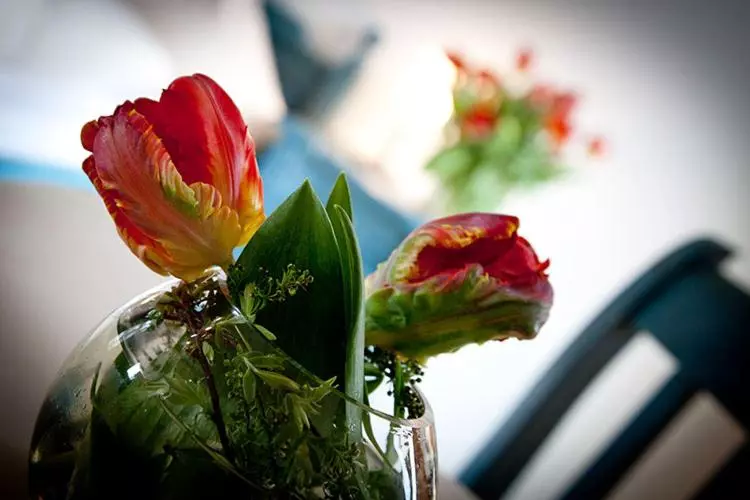 Hotelli Wirtshaus Am Schloss