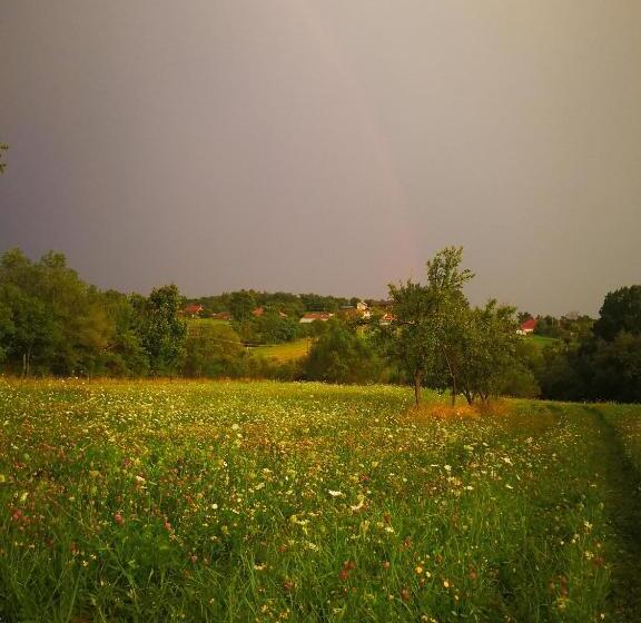 Pensiunea La Maria Lu  Sandoiu
