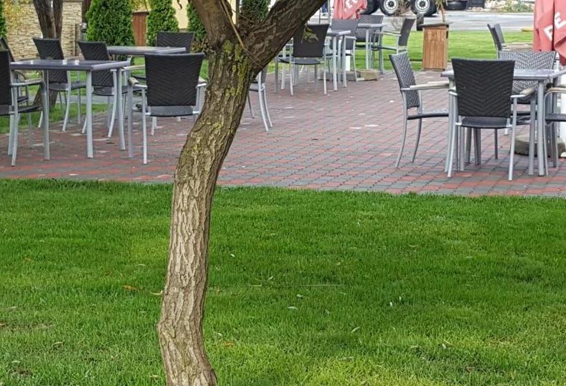 ベッドアンドブレックファースト Royal 60