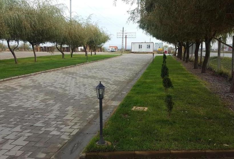 ベッドアンドブレックファースト Royal 60