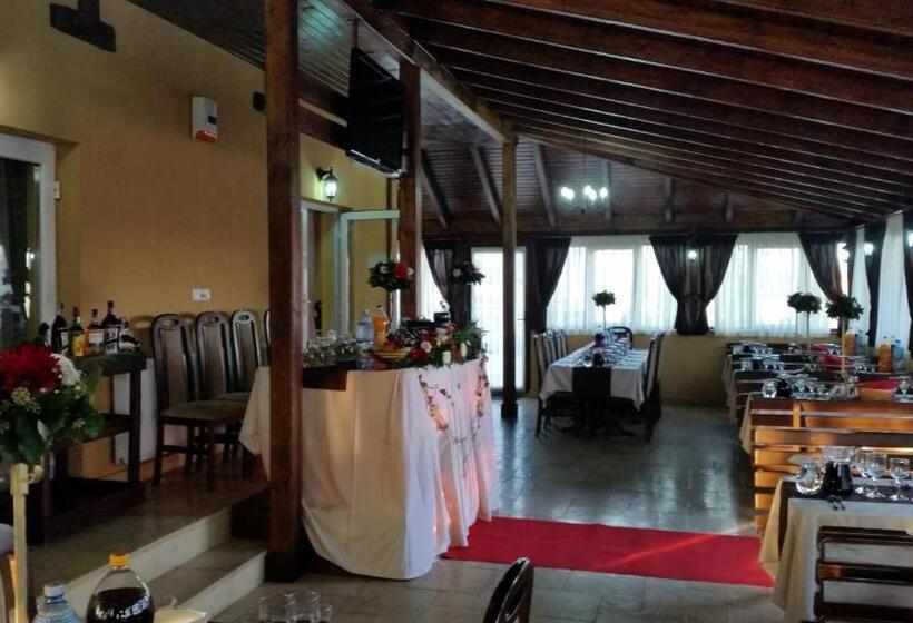 ベッドアンドブレックファースト Royal 60