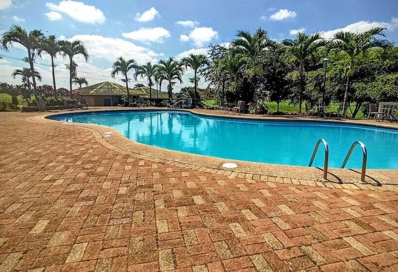 호텔 Palmar Del Sol