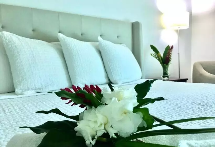 Hotelli Palmar Del Sol