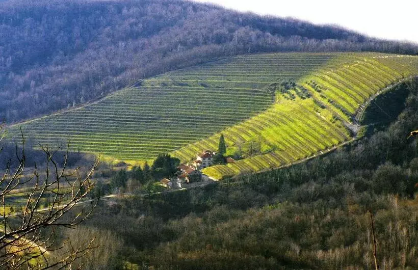 ホテル Tenuta Valdomini