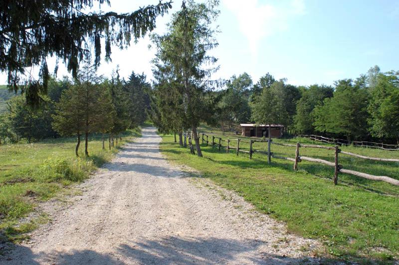 فندق Tenuta Valdomini