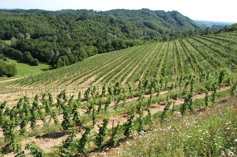 فندق Tenuta Valdomini