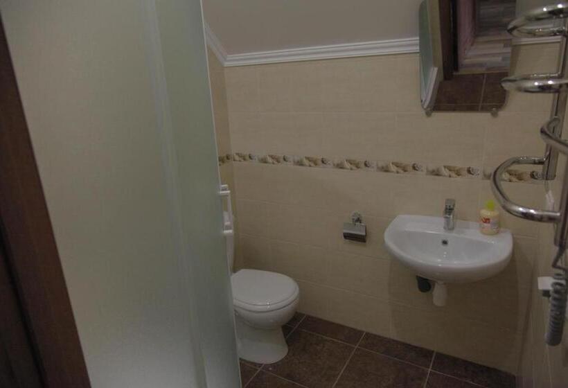 بنسيون Alekselena